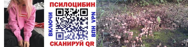 Псилоцибиновые грибы ЛСД  Цоци-Юрт 